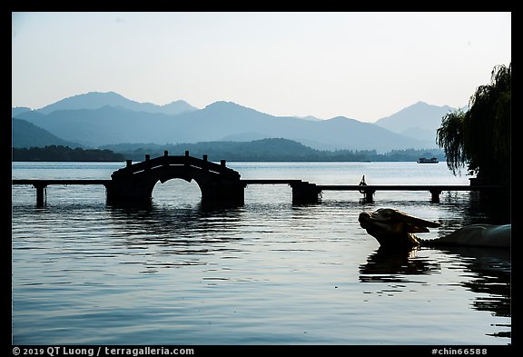 Yongjin Bridge and water buffalo, West Lake. Hangzhou, China