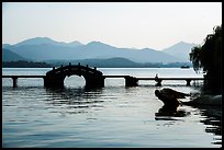 Yongjin Bridge and water buffalo, West Lake. Hangzhou, China ( color)