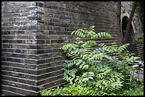 Old city wall. Shanghai, China ( color)