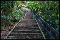Stairs leading up Elephant Mountain. Taipei, Taiwan (color)