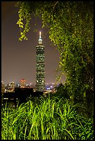 Taipei 101 seen through vegetation at night. Taipei, Taiwan (color)