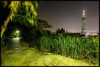 Path on Elephant Mountain with Taipei 101 in the distance at night. Taipei, Taiwan ( color)
