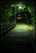 Elephant Mountain stairs at night. Taipei, Taiwan (color)