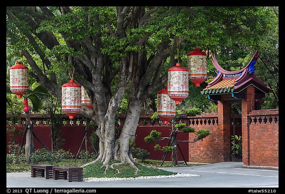Lanterns hanging from tree, Confuscius Temple. Taipei, Taiwan