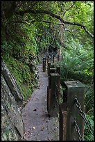 Cliffside trail, Taroko Gorge. Taroko National Park, Taiwan ( color)