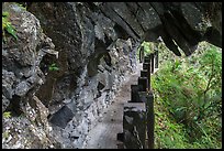 Narrow trail under rock overhang, Taroko Gorge. Taroko National Park, Taiwan (color)