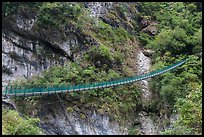 Suspension footbridge, Taroko Gorge. Taroko National Park, Taiwan ( color)