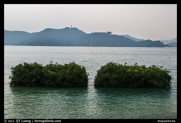 Floating gardens where plants are cultivated. Sun Moon Lake, Taiwan (color)