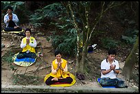 Group meditating in forest. Sun Moon Lake, Taiwan ( color)