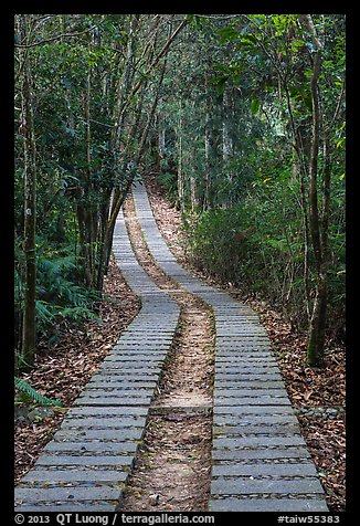 Paved path in forest. Sun Moon Lake, Taiwan
