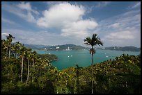 Wide view of lake with palm trees. Sun Moon Lake, Taiwan ( color)