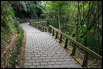 Path on Shabalan Mountain. Sun Moon Lake, Taiwan ( color)