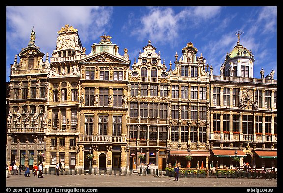 Baroque Guild houses, Grand Place. Brussels, Belgium (color)