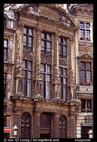 Brewers' guidhall. Brussels, Belgium (color)