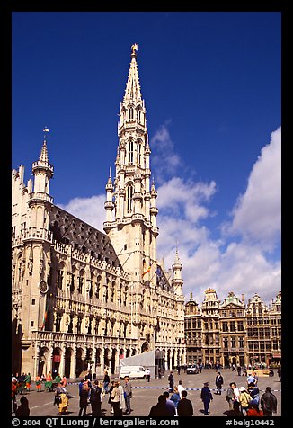 Grand Place and town hall. Brussels, Belgium (color)