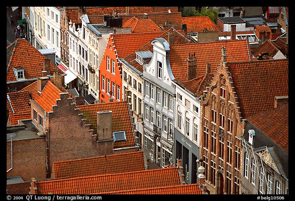 Red tile rooftops and facades. Bruges, Belgium