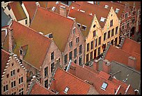 Rooftops. Bruges, Belgium ( color)