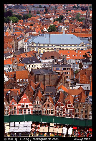 View of the town from tower of the hall. Bruges, Belgium (color)