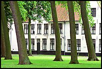 Grassy square in Beguinage (Begijnhof). Bruges, Belgium (color)