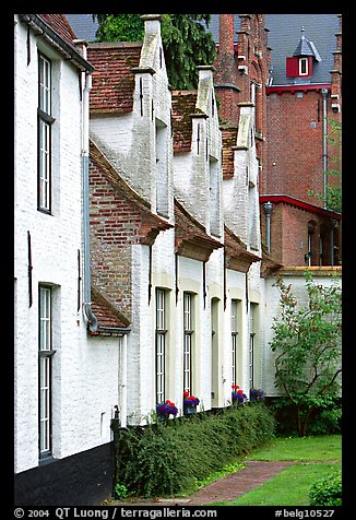 Whitewashed houses in the Beguinage. Bruges, Belgium (color)