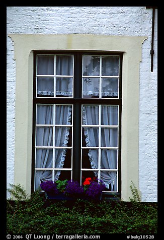 Window, Beguinage. Bruges, Belgium (color)