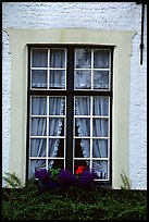 Window, Beguinage. Bruges, Belgium ( color)