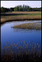 Pond. Gotaland, Sweden (color)