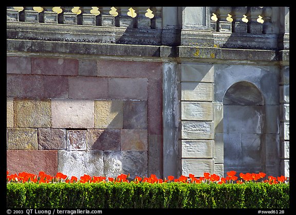 Tulips and wall, parks of royal residence of Drottningholm. Sweden