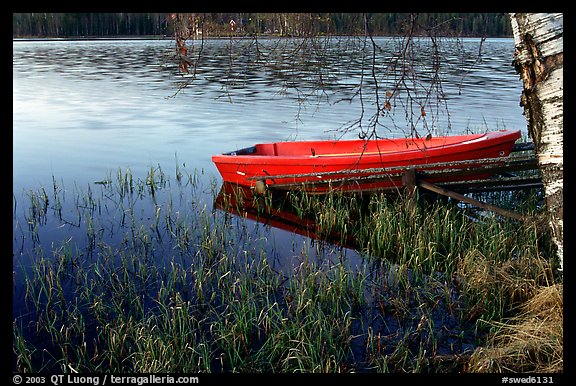 Red boat on a lakeshore. Central Sweden