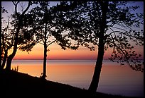 Trees and sunset on Vattern Lake, Vadstena. Gotaland, Sweden (color)
