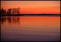 Trees and sunset on Vattern Lake, Vadstena. Gotaland, Sweden ( color)