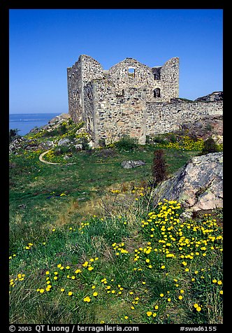 Ruins of the 16th century castle Brahehus near Granna. Gotaland, Sweden