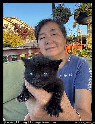 July 28, 2025.  (color)