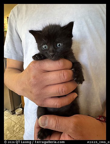 July 30, 2025.  (color)