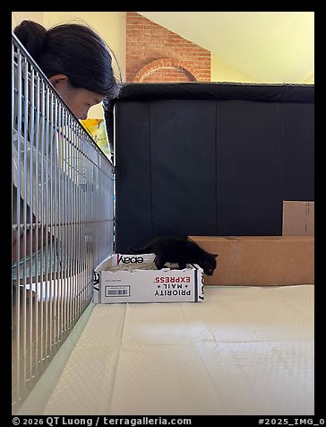 July 31, 2025.  (color)