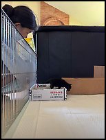 July 31, 2025.  ( color)