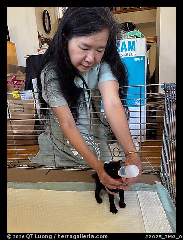 July 31, 2025.  (color)