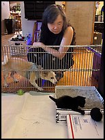 August 1, 2025.  ( color)