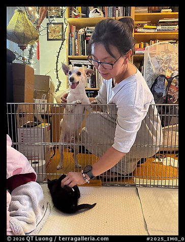 August 8, 2025.  (color)