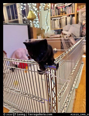 August 8, 2025.  (color)