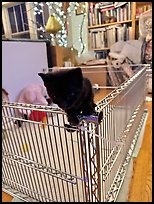 August 8, 2025.  ( color)