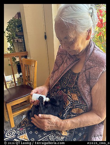 August 10, 2025.  (color)