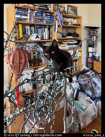 September 29, 2025.  (color)