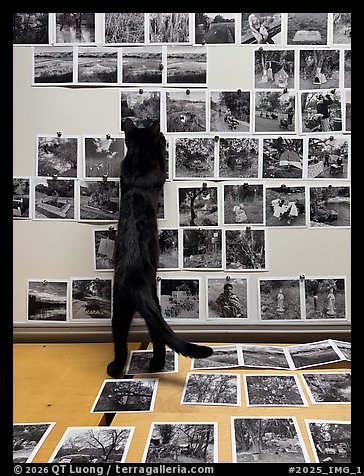 October 8, 2025.  (color)