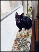 October 29, 2025.  ( color)