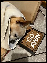 January 29, 2025.  ( color)