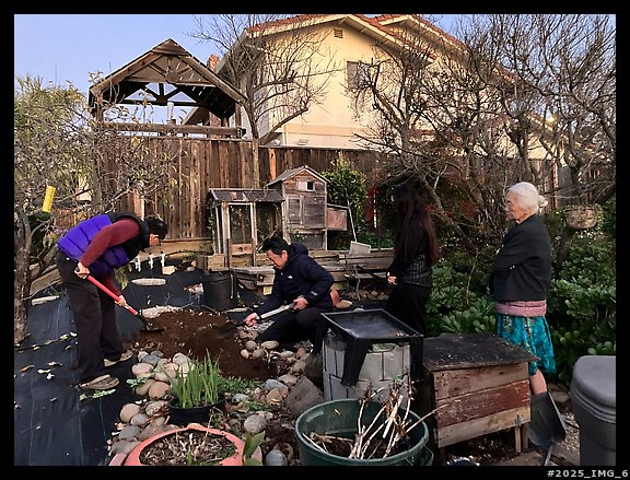 January 29, 2025.  (color)