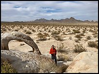 February 3, 2025.  ( color)