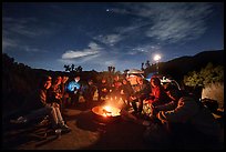 Pictures of February 2025