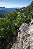 March 1, 2025.  ( color)